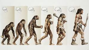 We did not find results for: Denisovans History