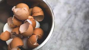 We did not find results for: The Benefits And Risks Of Eating Eggshells