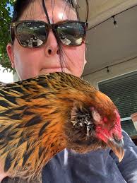 I have a gypsy cob that I have owned for 2 years He has always had a runny  nose and eye. I have been feeding timothy hay and thought I would try