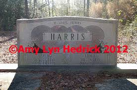 Elizafield Burial Ground Glynn County, Georgia