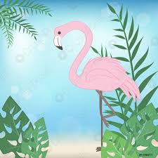Touch here to swipe >. Niedlich Flamingo Tier Cartoon Vogel Karte Illustration Stock Vektorgrafi Crushpixel