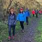 Surrey Hills Circular via Box Hill and Reigate Heath event image
