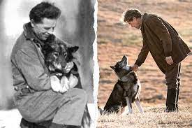 what s fact and what s fiction in togo dog movies famous dogs dog hero