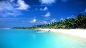 Perhaps a place with long windy beaches lined with palm trees, stretching as far as the eyes can see. Enjoy The Beauty Of Secret Island Karimunjawa Jogja Tour And Bromo Tour Packages