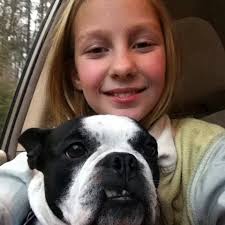 Northeast Boston Terrier Rescue: 12/8/13