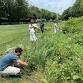 Village Green Bioswale Workday