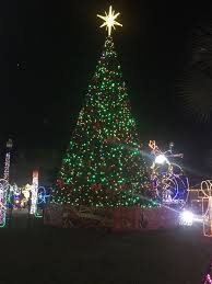 Festival Of Lights Hidalgo Texas Festival Lights Holiday Decor Christmas Tree