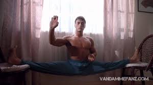 Image result for Van Damme split
