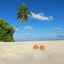Aircraft.com is the leading registry for planes, jets, and helicopters. Urlaub Zu Ostern Angebote Fur Die Osterferien Robinson Com