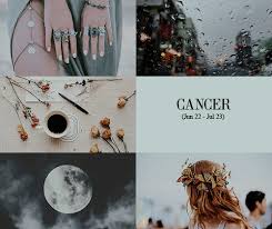 Every sun sign differs due to the influence of the moon. Lunalovelight Zodiac Signs Cancer Zodiac Cancer Zodiac