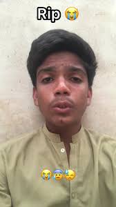 Das Leben und der Abschied von Hulk, dem großen Hund