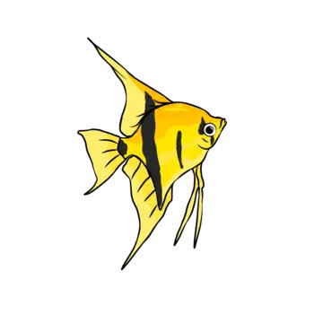 Manfish PNG Transparent Images Free Download | Vector Files | Pngtree