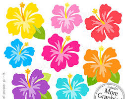 | view 40 hibiscus illustration, images and graphics from +50,000 possibilities. Hibiscus Clip Art Etsy
