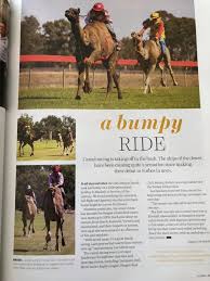 On paper, this process seems like the one of my favorite sayings is a camel is a horse designed by a committee. kathy said.i find trying to please more than 5 people can be quite. Forbes Camel Races Home Facebook