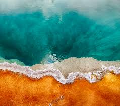 The remaining 4 are made for the nokia 8.3 5g, one of them is the hero. Download Nokia 7 7 Plus Stock Wallpapers Android Tutorial