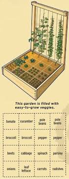 Budget Friendly Recipes Meal Plans And Cooking Tutorials Blog Starting A Vegetable Garden Square Foot Gardening Veggie Garden