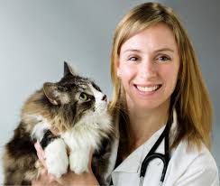 Frederick Food + Jewelry Photography