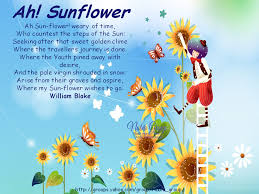 Ah Sunflower Roses Are Red Poems Flower Poem Motivational Poems