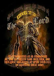 The Vision Of The Valley Of The Dry Bones Ezekiel 37 10 Vision Of The Valley Of Dry Bones Ezekiel Bible Prophecy Scripture Verses