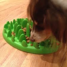 Jun 12, 2018 · be mindful of your dog's strength and temperament when choosing the right boredom busters. Choosing The Best Interactive Toys And Food Puzzles For Your Dog