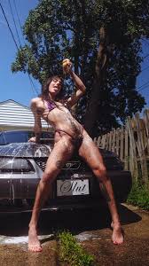 Olive Wren @olivewrenlives - Twitter Profile | Sotwe