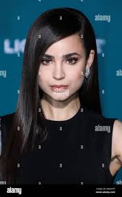 Westwood, United States. 05Th Nov, 2019. WESTWOOD, LOS ANGELES, CALIFORNIE,  USA