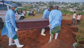 Trend Google: malattia da virus ebola
