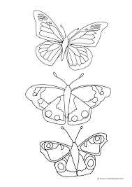 All butterflies look alike, but their wings can be very different. Butterfly Coloring Pages