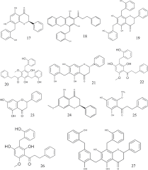 Image result for Uvaria schweinfurthii