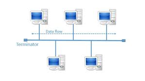 topologi jaringan bus