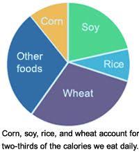 Pie Chart Showing Two Thirds Of The Calories We Consume Come