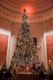 Explore thomassylthe's photos on flickr. Christmas Tree Christmas Lights Holiday Christmas Tree Christmas World