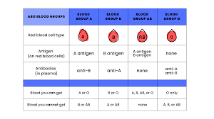 Image result for Plasma Transfusion