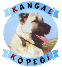 sivas kangal kopegi canli canli kurt bogan kangal izle ve paylas facebook