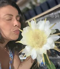 Cactos da Kelly (@cactosdakelly) • Instagram ඡායාරූප සහ වීඩියෝ