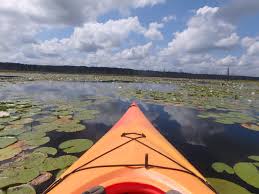 Visit his youtube channel here. Cane Creek State Park Adventurer S Guide Right Kind Of Lost