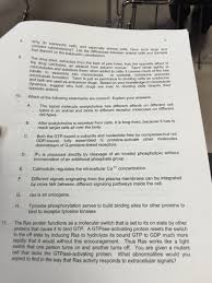 We did not find results for: Why Do Eukaryotic Cells And Especially Animal Cells Chegg Com