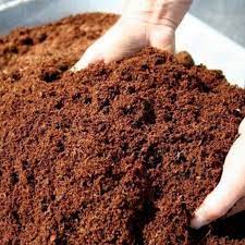 Order online cocopeat or coco peat or coir pith,vermicompost,grow bags,potting soil mix,organic manure,natural fertilizers,seeds and garden tools.coco peat makes a great substitute for sphagnum peat and is a similar growing medium that is lightweight and retains moisture.vegetables and fruits. Buffered Coconut Coir Coco Peat Compost Organic Soil Nutrients Substrate 25 L Gijja
