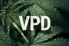 Vpd How Can Vapour Pressure Deficit Boost Cannabis Yields