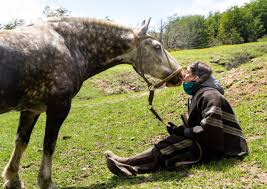 Ride in beautiful places and discover the ancient cultures of argentina on the back of a peruvian paso horse. The Patagonia Trail Horse Riding Holidays In Argentina Globetrotting