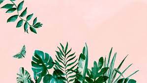 Pink Background Tumblr Aesthetic Backgrounds Painting Of Green Palm Leaves Of Different Kinds Cute Summer Wallpapers Cute Wallpapers Cute Computer Backgrounds