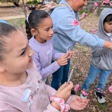 Project AWE Kicked off