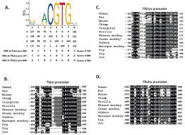 Full ip address details for 103.194.171.187 (as134512 hostpalace web solution pvt ltd) including geolocation and map, hostname, and api details. Hypoxia Mediated Regulation Of Mitochondrial Transcription Factors Implications Of Hypertensive Renal Physiology Biorxiv