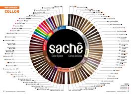 Já conhece a nova linha de. Cartela De Coloracao Sache Professional By Sache Professional Issuu