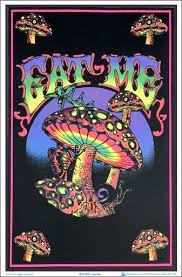 Eat Me Mushrooms Black Light Poster 23 X 35 Hippie Painting Hippie Wallpaper Trippy Painting We have 61+ amazing background pictures carefully picked by our community. hippie wallpaper trippy painting