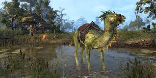The devout folk of hammerfell bow when a cloud camel rides past. Camel Lizard Steed Elder Scrolls Fandom
