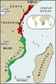 Image result for Inhambanella