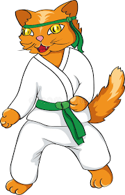 Selina is as stealthy as any large cat. Karate Cat Stock Illustrations 129 Karate Cat Stock Illustrations Vectors Clipart Dreamstime