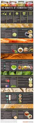 The Benefits Of Fermented Foods Infographic Diet Exercise Fermented Foods Benefits Food Infographic Nutrition