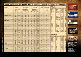 sporting ammunition denel pmp